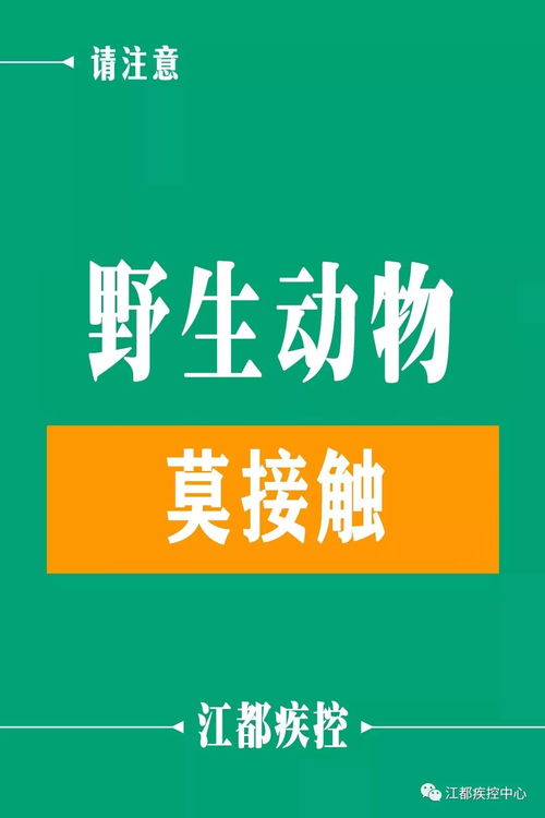 江都疾控新春健康提示 健康過新年，熱線伴您行